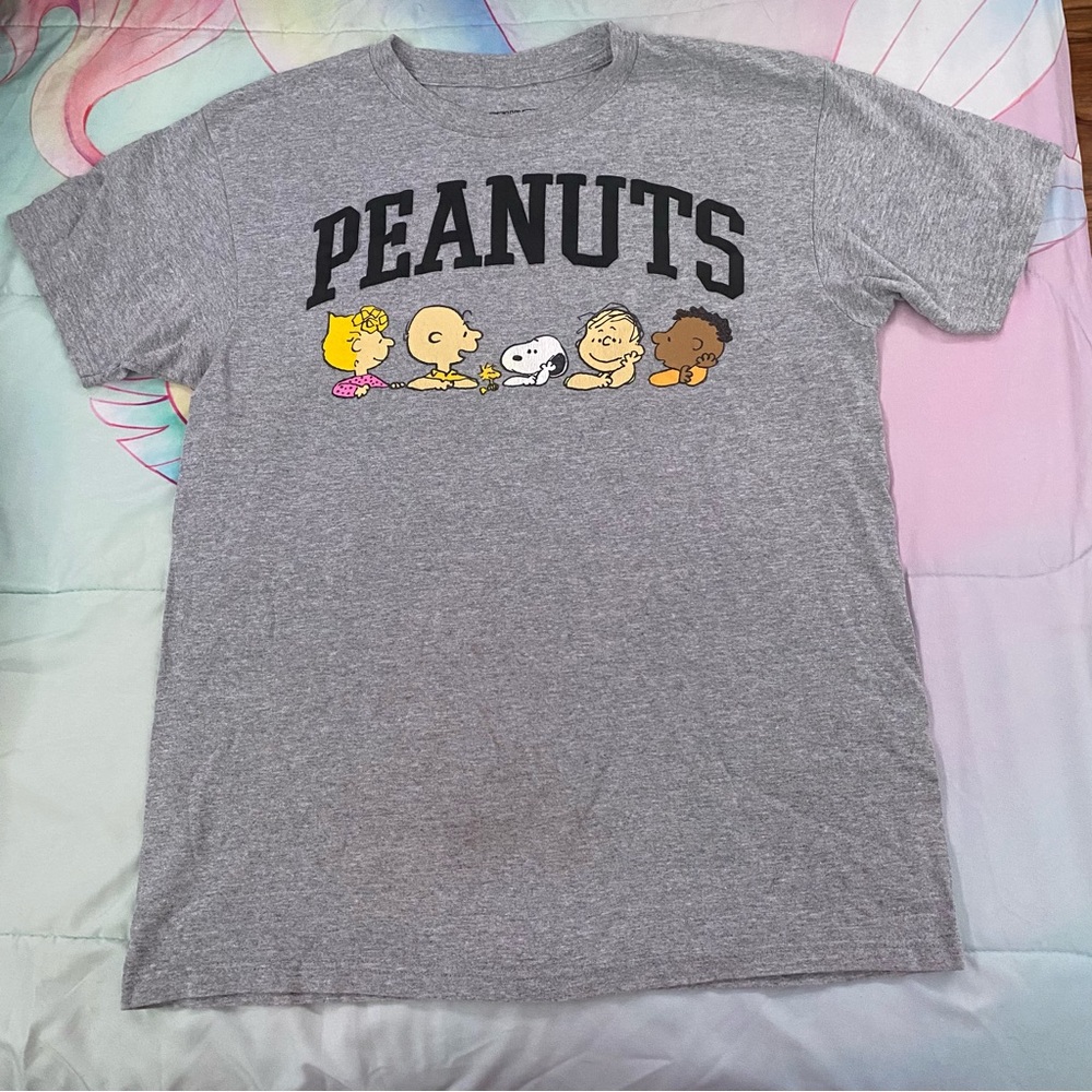 Peanuts snoopy charlie brown Gray Tee EUC
